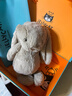 Jellycat害羞米色邦尼兔动物毛绒玩偶安抚公仔娃娃圣诞节生日礼物 害羞米色邦尼兔礼盒装 Medium 实拍图