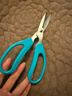 张小泉园艺强力剪绿萝剪剪刀盆景工具不锈钢整枝剪花剪刀园艺剪刀FL-4 实拍图