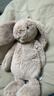 Jellycat害羞米色邦尼兔动物毛绒玩偶安抚公仔娃娃生日新婚礼物 米色 Medium 实拍图