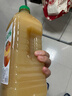 汇源100%桃混合果汁2000ml*1瓶2L尝鲜装家庭分享中秋送礼装量贩 实拍图