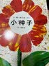 当当正版童书 信谊世界精选图画书 清华附小学校推荐一二年级必读课外阅读书绘本书目 猜猜我有多爱你 青蛙和蟾蜍 逃家小兔 南瓜汤 生气汤 窗里有什么 迟到大王 小种子 实拍图