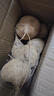 【清凉解暑】新鲜现挖凉薯生吃脆甜水果红薯白地瓜真便宜生鲜超市 现挖凉薯 3斤中大果（3两起） 实拍图