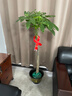 发财树大型绿植室内客厅花卉大盆栽落地办公室摆件阳台放轻松植物 【独杆】1.2-1.3m 福字树脂盆 实拍图