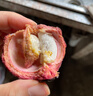 京鲜生【预售】泰国山竹特大果6A 单果100g 净重8斤装 水果源头直发包邮 实拍图
