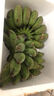 春福乐 广西小米蕉香蕉【源头直发】10水果整斤小香蕉粉蕉自然熟苹果蕉 精选5斤装【老农手挑】净4.5斤 实拍图