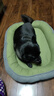嬉皮狗（hipidog）狗窝四季通用夏天狗床狗垫子可拆洗睡垫中小型犬宠物沙发猫窝用品 蒂安绿#【高档狗窝】耐抓耐磨 L【长65cm宽50cm】（15斤内） 实拍图