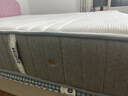 芝华仕（CHEERS）乳胶床垫独立弹簧软硬两用卧室护脊款D026明星垫1.5m【京仓闪发】 实拍图