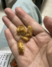每果时光香酥鱼骨粒即食海味海鲜脆鱼骨头原味鱼干鱼排小吃下酒菜零食 【香酥鱼骨粒】半斤：250g*1包 实拍图