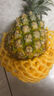 广东香水菠萝新鲜水果徐闻菠萝当季孕妇菠萝非凤梨整箱包邮 净重2.6-2.8斤（2粒）单果650g起 实拍图