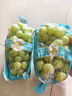 辣青春【顺丰多地次日达】云南阳光玫瑰青提葡萄晴王当季新鲜水果礼盒装 一级果3斤【原箱串装】单颗8-10g 颗颗甄选 实拍图