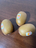 佳沛（zespri）新西兰  阳光金奇异果6粒装 单果约77-103g  源头直发  猕猴桃 实拍图