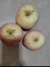 京鲜生 烟台红富士苹果 净重8斤  单果230g起 水果礼盒 实拍图
