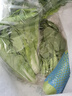  大芹菜约400g 实拍图