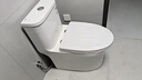 浪鲸（SSWW） 卫浴马桶家用一体坐便器缓降易拆盖板虹吸式座便器节水卫生间 011A【一级水效 缓降盖板】 305/300mm 实拍图