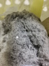 飞利浦（PHILIPS）卧式吸尘器家用清洁机强劲大功率大吸力吸尘吸灰吸螨虫除螨宠物家庭适用FC9573 实拍图