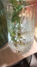 玻璃花瓶透明植物插花瓶水培容器大花瓶装饰客厅摆件 透明水波纹（17*5.5*8） 1个装 实拍图