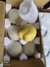 正宗雪梨河北雪花梨梨子批发10斤冰糖雪梨新鲜水果当季水果3斤5斤 特级雪梨净重5斤 实拍图
