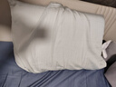 皇冠A类60支莱赛尔天丝枕套48x74cm一对家用水洗枕头套礼盒装 实拍图