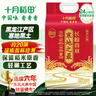 十月稻田 寒地之最 东北长粒香大米 8斤（东北大米 香米 4公斤 ） 实拍图