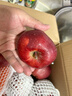 京鲜生 甘肃天水花牛苹果 又大又红 净重4斤 单果160g起  新鲜水果  实拍图