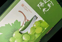 京鲜生 精品阳光玫瑰葡提 5-5.5斤中秋礼盒装 3-5串 单果13g起 生鲜水果 实拍图