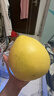 柚满园梅州红心柚子红柚子正宗梅县特产新鲜水果冰糖金碌柚红肉红心蜜柚 大果带箱9-10共2-4个 实拍图