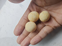 三只松鼠芥末味夏威夷果仁500g 非油炸袋装坚果果仁脆皮休闲零食 实拍图