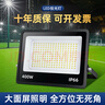 大头人（datouren）LED投光灯户外路灯庭院灯防水投射灯投光灯2000珠款 实拍图