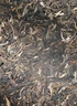 福茗源茶叶 普洱茶 云南勐海古树熟茶春茶七子饼茶老树班章茶单饼装357g 实拍图