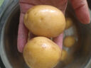 恩施小土豆富晒新鲜现挖黄皮迷你马铃薯粉糯高山洋芋马尔科土豆 2斤-小果-乒乓球大小(带箱) 实拍图
