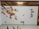 定制3d立体现代中式柿柿如意电视背景墙壁纸客厅壁布卧室墙布壁画 皇家云锦布 平米 实拍图