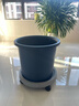 爱丽思花盆塑料深型树脂花盆特大号多肉花盆种花种菜盆爱丽丝14号蓝色 实拍图