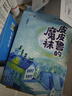 郑渊洁童话四部曲（套装共4册）鲁西西在天坛+皮皮鲁和金鱼王子+皮皮鲁的魔袜+真假舒克 实拍图