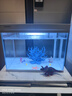 森森（SUNSUN）超白鱼缸一体缸自循环客厅水族箱桌面家用懒人免换水小型金鱼缸 超白HEJ380标配+蓝珊瑚景 实拍图