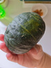 家美舒达 山东 贝贝南瓜 板栗小南瓜 5斤（品种：明博） 蔬菜礼盒 实拍图