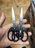 剪刀家用办公用小型便携式剪子儿童diy手工剪快递剪钓鱼剪刀14cm 升级不锈钢剪刀黑色中号【2把】 实拍图