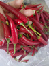 广西小米辣5斤新鲜特辣朝天椒红辣椒辣椒泡椒剁椒小米椒 新鲜小米辣 250g带箱重 实拍图