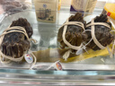 【活蟹】蟹宗大闸蟹鲜活螃蟹河蟹现货全母3.5-3.8两8只去绳足重水产生鲜海鲜礼品礼盒 实拍图