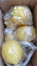 广东香水黄柠檬包邮新鲜水果柠檬精选皮薄奶茶店专用整箱 现货 黄香水柠檬6粒装  单果70g+ 实拍图