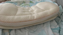 babycare儿童枕头婴儿宝宝枕护脊枕6个月-6岁山茶花全阶成长枕32*60CM 实拍图