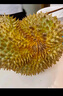 京鲜生 进口金枕头榴莲 巴掌榴莲 2-3斤 1个装  鲜果 生鲜 新鲜水果 实拍图