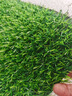 夺秀 仿真草坪地毯塑料假草皮 人造草坪阳台户外人工草坪幼儿园假草坪 20mm全新升级原生料5A级春草/平方 高等级 实拍图