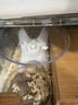 智宙仓鼠跑轮超静音金丝熊跑盘大号飞碟飞盘带支架小宠物用品解闷玩具 透明白色 实拍图
