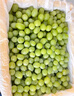 京鲜生 阳光玫瑰葡萄 青提6斤礼盒装 单果约10g 生鲜水果 新鲜水果 实拍图
