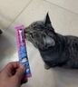 多特思(DOTUS) 猫零食猫条随机口味15g*8支成猫幼猫咪零食湿粮 实拍图