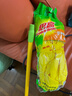 3M 思高一拖净棉线布条吸水无纺布拖把墩布家用一拖净老式传统拖把 吸水型拖把1杆+1头 实拍图