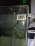 鱼缸温度计水族专用高精度电子数显测水温计冰箱空调冷柜养殖通用 探头数显温度计-2米-白色 实拍图