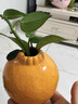 爱已装糖仿真橘子艺术花瓶简约陶瓷花瓶生日礼物客厅餐桌装饰插花瓶高10cm 实拍图