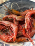 新渔姐 东海甜红虾 深海海捕大号冷冻红头虾  (无冰) 25尾/500g 红头虾(无冰) 1斤(净重) 实拍图