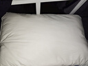 颈安 NeckSafe/全棉枕头枕芯纯棉面料防污渍酒店枕学生宿舍护颈枕棉蒲 三防-高枕(升级/防污款) A类 单只 实拍图